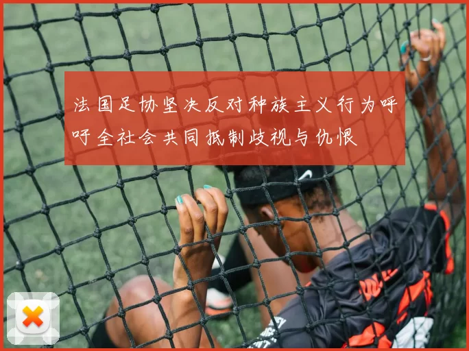 法国足协坚决反对种族主义行为呼吁全社会共同抵制歧视与仇恨